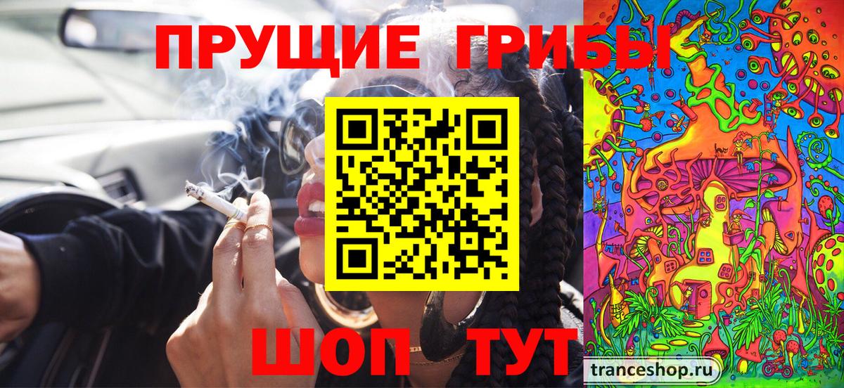 Галлюциногенные грибы Psilocybine cubensis Нерюнгри