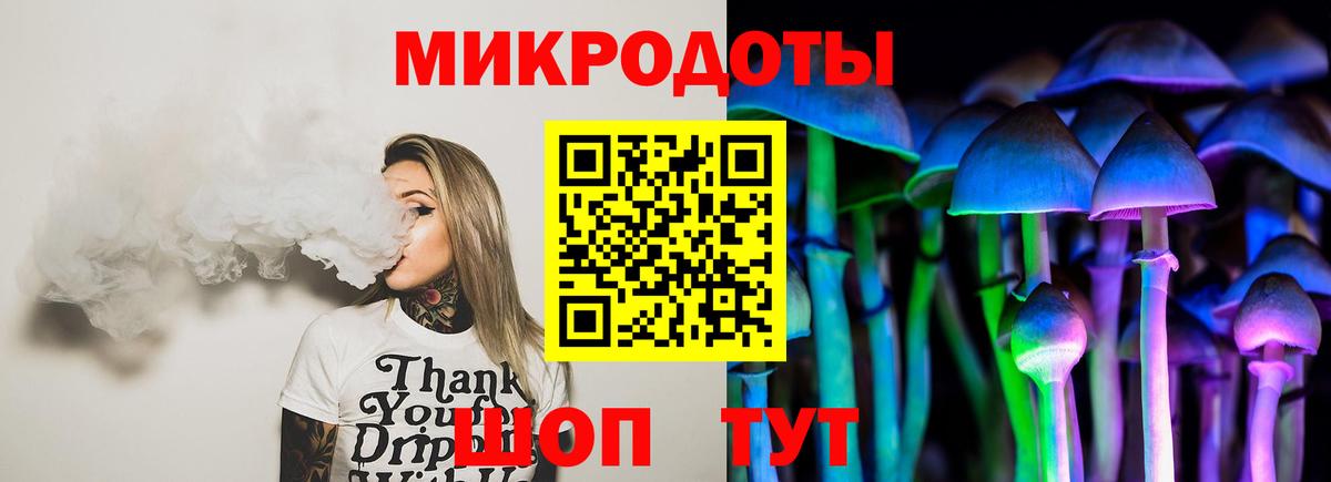 Галлюциногенные грибы MAGIC MUSHROOMS  Вход с VPN  Нерюнгри  Галлюциногенные грибы мицелий 